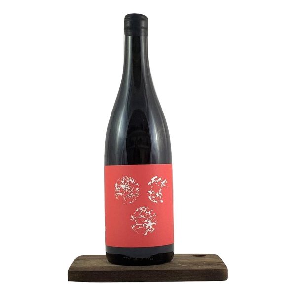 Tot d'una Celler RIM 2019