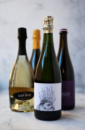 Cava y vinos espumosos