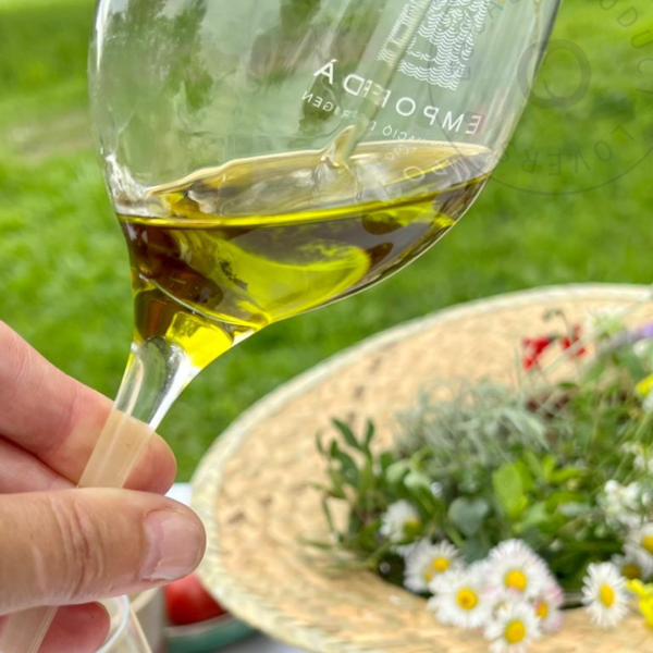Tast sensorial d’olis d’oliva verge extra amb Iolanda Bustos - Imatge 3