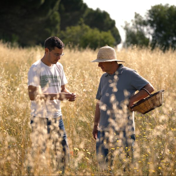 Experiència sensioral d'infusions de la mà d'en Guillem d'Emporarom